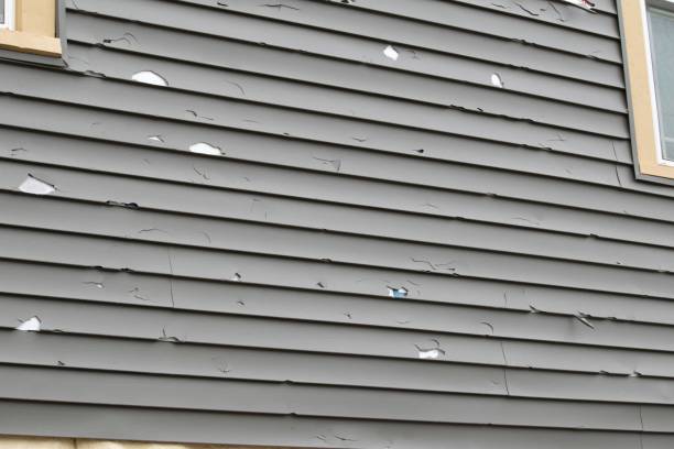 Best Composite Siding  in Cold Springs, NV